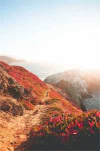 女友偷我彩票大奖后，我送给了她一份大礼小说大结局