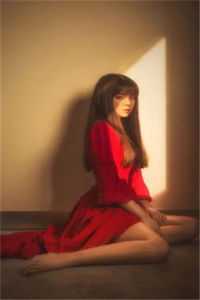 碎雪敲窗梦不成陆书澜周司屿大结局