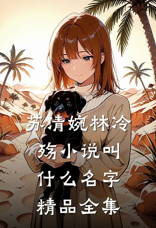 苏清婉林冷殇小说叫什么名字精品全集