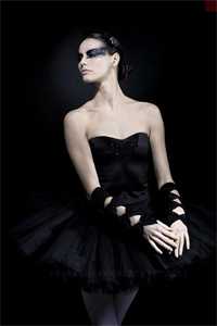 爱意随风起，风止意也平列表