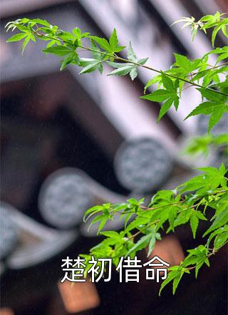 孕期火海被弃？离婚后厉总悔疯了全文无删减