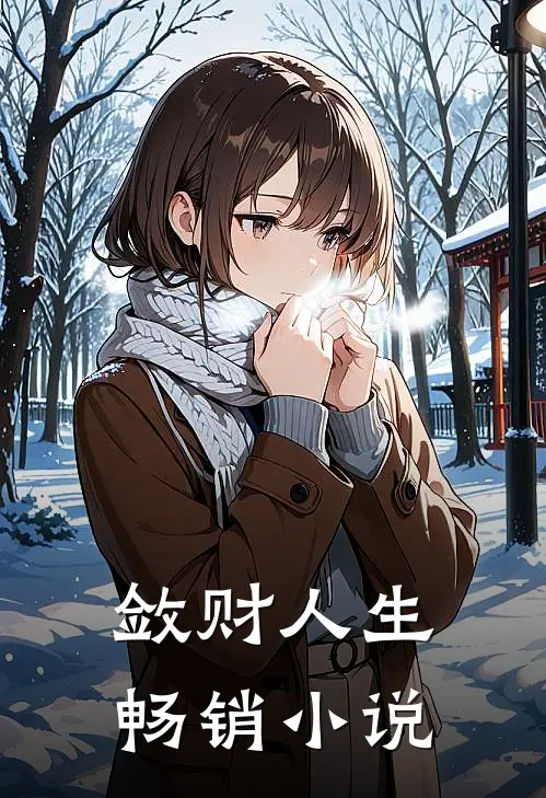 敛财人生畅销小说
