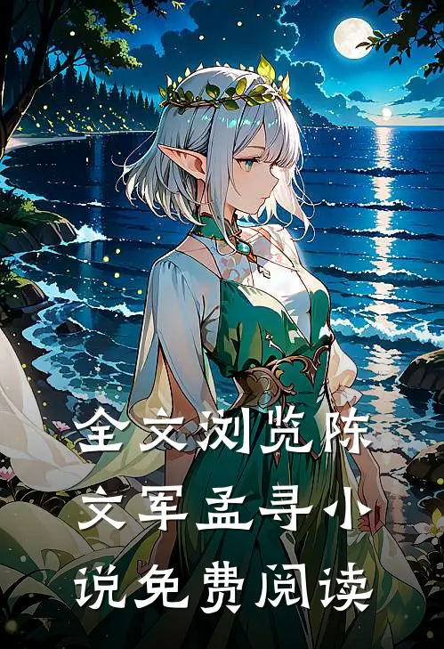 全文浏览陈文军孟寻小说免费阅读