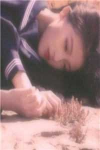 开民宿赔光家底，女友分手倒打一耙精彩