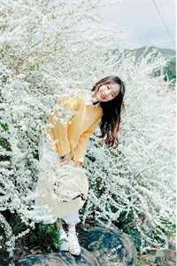 爱意已远完结txt