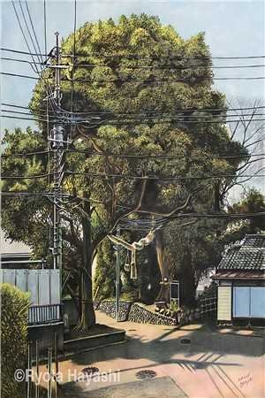 北城旧梦扰清风精品推荐