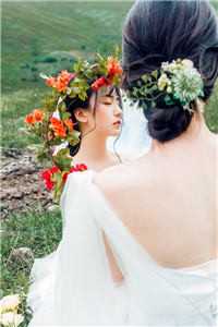 雪落无声覆白头小说全文免费