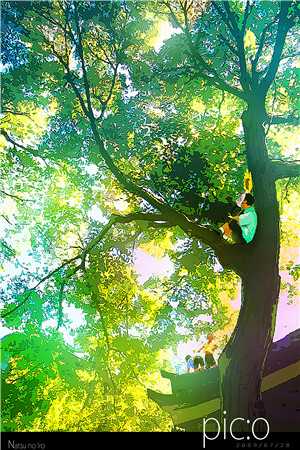 白露枝头复往春全本小说推荐