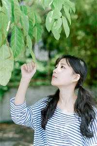 永安六年的告别爆款宝藏