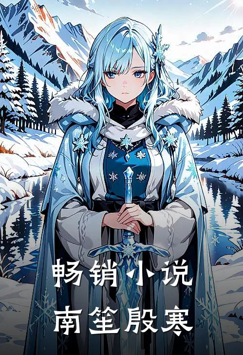 畅销小说南笙殷寒